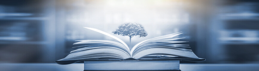 陕是哪个省的车牌号？